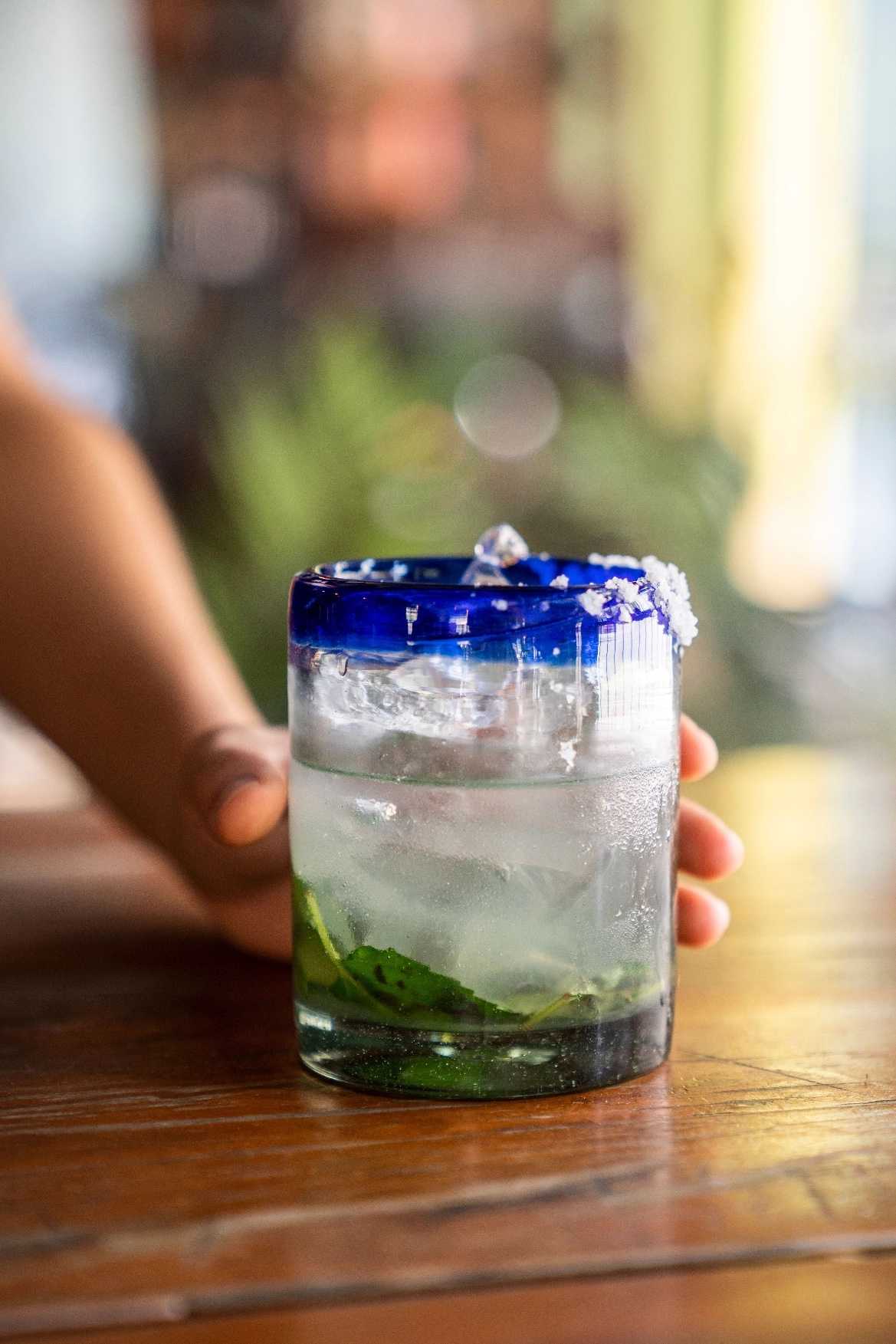 Main tenant un verre de cocktail au bord givré de sel, menthe au fond